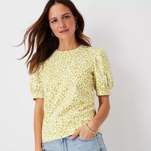 Ann Taylor - crewneck style top (M)